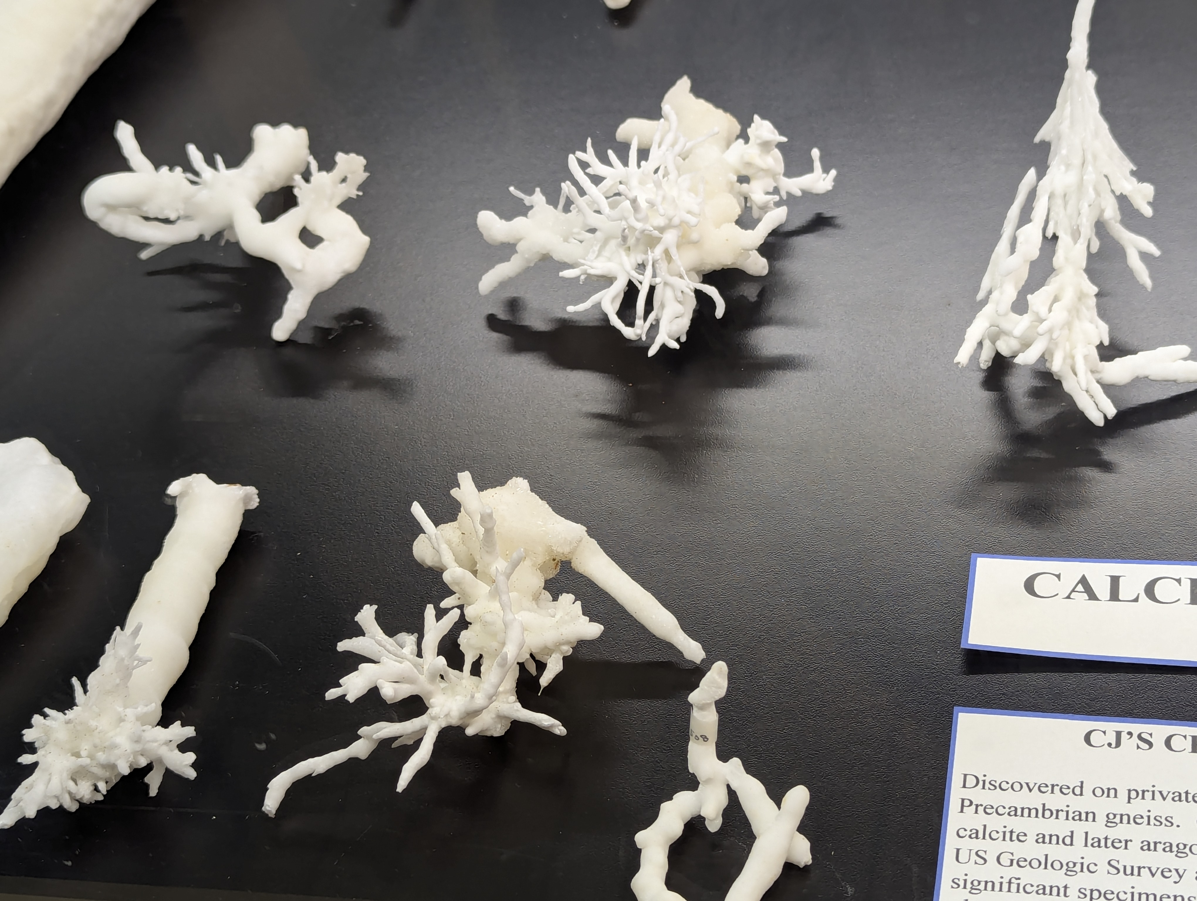 Colorado School of Mines, Geology Museum